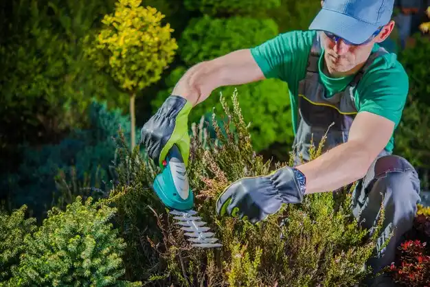 landscaping services Norwood Court